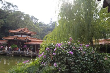 Arkasında büyük bir bina olan güzel bir bahçe. Bahçe mor çiçekler ve yeşil bitkilerle dolu.