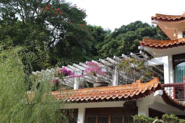 Kırmızı çatılı ve beyaz çizgili bir ev. Çatıda kafes tasarımı var ve çiçeklerle kaplı.