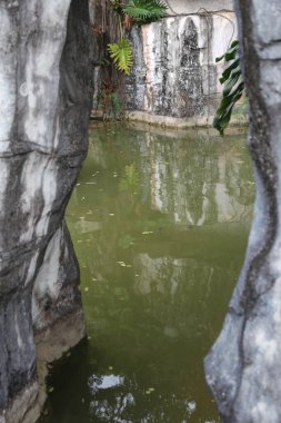 Bir mağaranın duvarına küçük bir su havuzu yansıtılır. Su yeşil ve bulanık, mağara karanlık ve nemli.