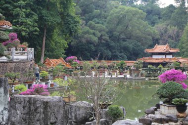 Arka planda küçük bir ev ve göleti olan güzel bir bahçe. Gölet bitkiler ve çiçeklerle doludur ve bölgenin etrafında birkaç saksı bitkisi vardır.