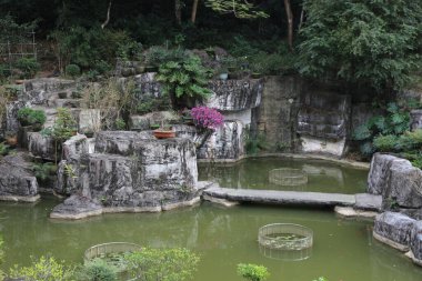 Üzerinde köprü olan küçük bir gölet ve birkaç bitki. Gölet kayalarla çevrili ve yeşil bir rengi var.