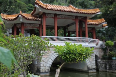 Büyük bir binanın önünde küçük yeşil bir ağaç büyüyor. Bina beyaz çatılı bir pagoda. Ağaç, taş bir köprü ve küçük bir göletle çevrilidir. Huzurlu ve huzurlu bir sahne.