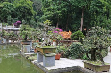 A garden with a pond and a lot of potted plants. The plants are in various sizes and shapes, and some of them are placed on top of stone pedestals. The garden has a peaceful and serene atmosphere clipart