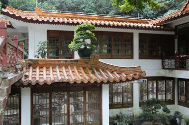 Çatıda saksı bitkisi ve çatısı olan bir ev. Evin bir sürü penceresi ve balkonu var.