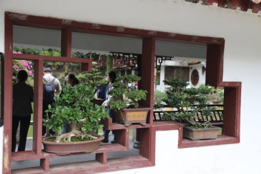 Bir grup insan saksı bitkileriyle birlikte bir pencerenin önünden yürüyorlar. Bitkiler dışarıdan görülebilecek şekilde düzenlenmiş. Bitkiler gibi sahnenin huzurlu ve rahatlatıcı bir havası var.