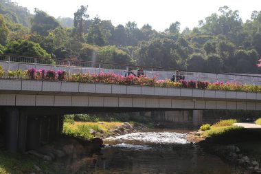 Üzerinde çiçek bahçesi olan bir köprü var. Köprü bir nehrin üzerinde ve üzerinde yürüyen insanlar var.