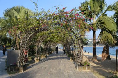 Arka planda bir kumsal ve çiçeklerle dolu bir yürüyüş yolu. Geçit saksı bitkileri ve ağaçlarla dolu.