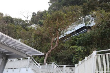 Tepenin yamacında beyaz metal bir yapının yanında bir ağaç büyüyor. Yapı, tepeye çıkan bir merdiven.