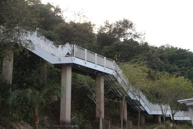 Ormanın üzerindeki köprüde beyaz bir merdiven var. Köprü betondan yapılmıştır ve parmaklıkları vardır. Merdivenler beyaz ve köprünün kenarındalar.