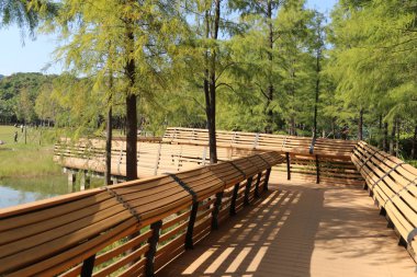 Arka planda ağaçlar ve banklar olan ahşap bir köprü. Köprü insanların oturup manzaranın tadını çıkarabileceği bir yerdir.