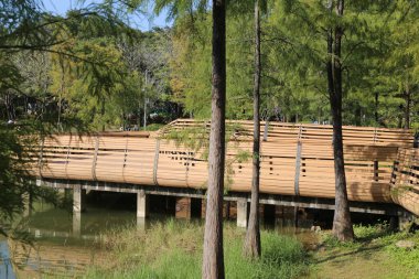 Ahşap bir köprü her iki tarafında ağaçlar olan bir nehir boyunca uzanır. Köprü yemyeşil bir ormanla çevrilidir ve su sakin ve temizdir. Huzurlu ve huzurlu bir sahne.