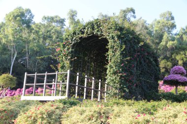 Tahta çitli ve banklı küçük bir kemer yolu. Kemer yolu sarmaşıklar ve çiçeklerle kaplı.