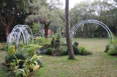 Birkaç ağaç ve birkaç bitkinin olduğu bir bahçe. Bitkiler sıraya dizildi ve etrafı beyaz kemerle çevrili.