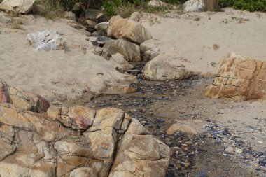 İçinden su akan kayalık bir sahil. Su bulanık ve kayalar büyük.