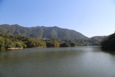 Arka planda dağ olan sakin bir göl. Gökyüzü açık ve mavi. Göl ağaçlar ve dağlarla çevrili.