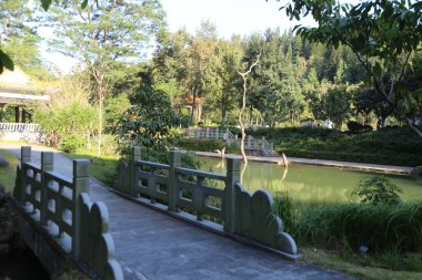 Arka planda ağaçlar olan bir köprü. Köprü taştan yapılmıştır ve yeşilliklerle çevrilidir.