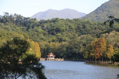 Ağaçlar ve dağlarla çevrili güzel bir göl. Ağaçlar yeşil ve su sakin. Huzurlu ve huzurlu bir sahne.