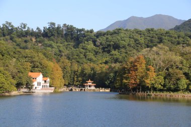 Sahilde evi olan güzel bir göl. Ev ağaçlarla çevrili ve göl sakin.