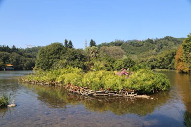 Yeşillik dolu bir gölde küçük bir ada. Su sakin ve gökyüzü berrak.