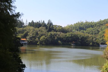 Arka planda küçük bir ev olan bir göl. Su sakin ve gökyüzü berrak.