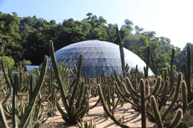 Binanın tepesinde büyük bir kubbe olan bir çöl sahnesi. Kubbe kaktüs ve diğer bitkilerle çevrili.