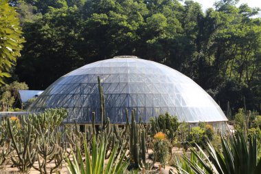 Tepesinde kubbe olan bir sera ve bir sürü kaktüs ve diğer bitkiler. Kubbe temiz ve bitkiler yeşil.