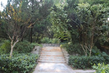 Taştan bir merdiven yemyeşil bir bahçeye çıkar. Bahçe ağaçlar ve çalılarla dolu. Huzurlu ve huzurlu bir atmosfer yaratıyorlar. Güneş ışığı yaprakların arasından süzülür.