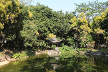 Ortasında küçük bir kulübe olan bir gölet. Gölet ağaçlar ve çalılarla çevrili.