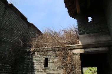 Çatısı ve penceresi olan tuğla bir bina. Çatı asmalarla kaplı. Bina eski ve uzun bir geçmişi var.