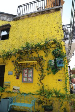 Üzerinde sarmaşık büyüyen sarı tuğla bir bina. Sarmaşık binayı ve pencereleri kaplıyor.