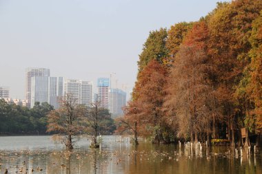 A city skyline is visible in the background, with a park in the foreground. The trees in the park are brown and bare, and the water is murky. The scene has a somber and melancholic mood, as the city clipart