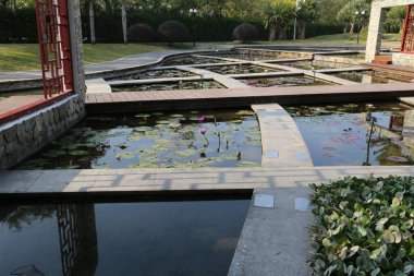 Üzerinde köprü olan bir gölet ve birkaç bitki. Gölet suyla dolu ve yüzeyde birkaç zambak yüzüyor.