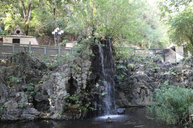 Parktaki bir gölete bir şelale akıyor. Şelale kayalar ve ağaçlarla çevrili.