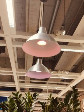 Tavandan sarkan iki lamba parçası, biri pembe. Oda, ön planda büyük bir bitki de dahil olmak üzere yeşilliklerle dolu.