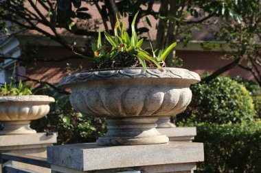 A large white vase with a plant in it sits on a stone pillar. The vase is surrounded by greenery, giving the impression of a peaceful and natural setting