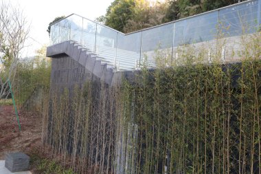 Bambu bitkileriyle kaplı bir duvar ve ona çıkan bir merdiven. Bambu bitkileri uzun ve yeşildirler, doğal ve sakin bir atmosfer yaratırlar.