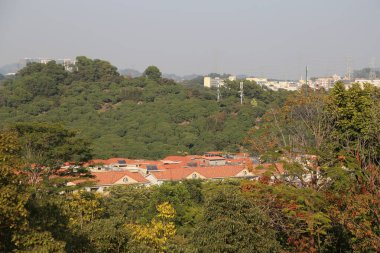 Bir sürü ağaç ve evin olduğu bir şehir manzarası. Evler çoğunlukla kahverengi ve kırmızıdır.