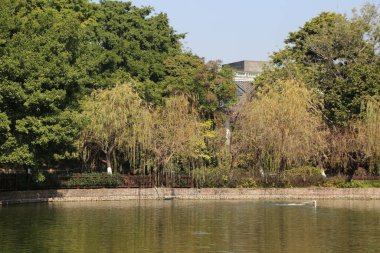 Göletli ve ağaçlı bir park. Ağaçlar çıplak ve gölet sakin.