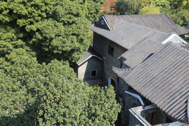 Önünde bir çatı ve ağaç olan bir ev. Ev ağaçlarla çevrili ve çatısı var.