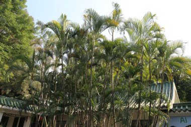 Arkasında bina olan yemyeşil bir orman. Binada şöyle bir tabela var: