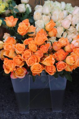Açık bir kapta bir buket turuncu gül sergilenir. Güller aynı yöne bakacak şekilde dizilmiş, birlik ve ahenk hissi yaratıyorlar.