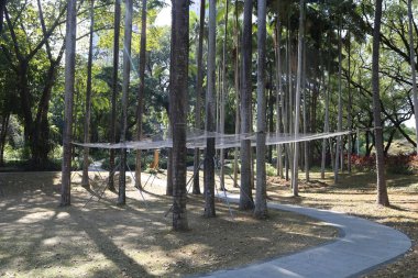 Üzerinde halat köprü olan ağaç çizgili bir patika. Köprü iki ağaç arasında asılı.