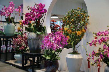 Çeşitli vazo ve bitkilerle dolu bir çiçekçi. Pembe çiçekli büyük bir vazo da dahil.