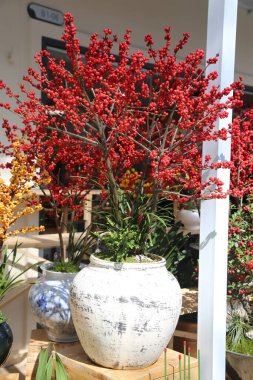 Üzerinde kırmızı böğürtlen olan beyaz bir vazo diğer vazoların yanında bir masada duruyor. Kırmızı böğürtlenli vazo dikkatlerin odak noktasıdır ve diğer vazolarda göze çarpar. Sahne sıcak ve davetkar.