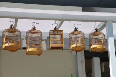 Beyaz bir çatıdan sarkan kuş kafesleri. Kafesler farklı boyutlarda ve şekillerde.