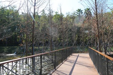 Gölün üzerinde köprüsü olan bir yürüyüş yolu. Köprü metal ve ahşaptan yapılmıştır. Geçit ağaçlarla çevrili ve gölet zambaklarla dolu.