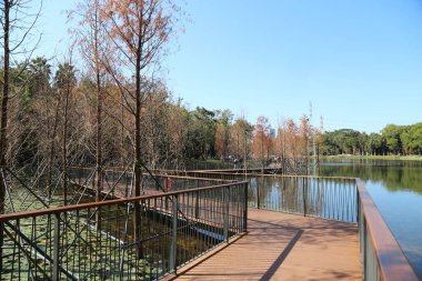 Havuzu ve yolu olan bir park. Geçit ahşaptan yapılmıştır ve etrafında bir çit vardır. Gölet ağaçlarla çevrili ve birkaç ölü dalı var.