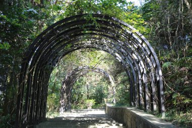 Metal ve sarmaşıklardan yapılmış bir tüneli olan bir geçit. Tünel ağaçlar ve çalılarla çevrili.