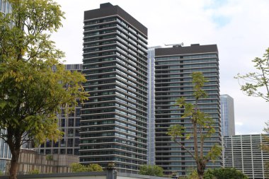 Bir tanesi diğerinden daha uzun olan iki büyük pencereli bina. Daha yüksek binanın önünde, sahneye biraz yeşillik katan bir ağaç var.