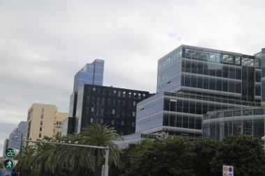 Önünde yüksek binalar ve palmiye ağaçları olan bir şehir silueti. Gökyüzü bulutlu ve binaların çoğu cam.